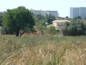 Land For Sale Albufeira Algarve Portugal